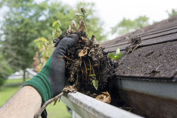 5 Signs Your Gutters Need Cleaning